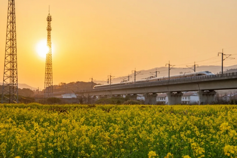 夕焼けと菜の花畑と高速列車の絶景広がる滬昆高速鉄道（撮影・賴錦輝）。