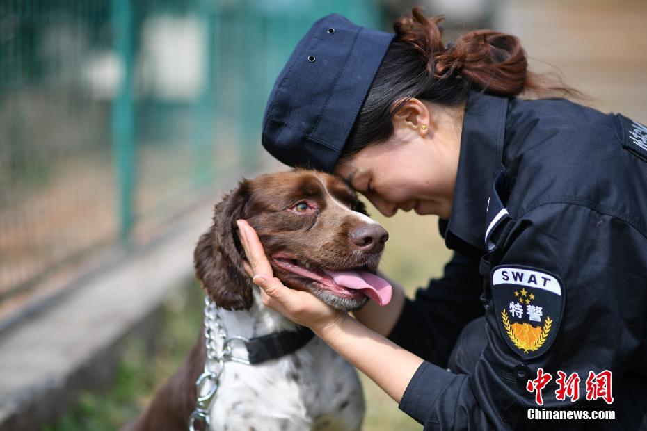 昆明鉄道警察の女性警察犬訓練士に迫る 昆明鉄道警察の女性警察犬訓練士に迫る