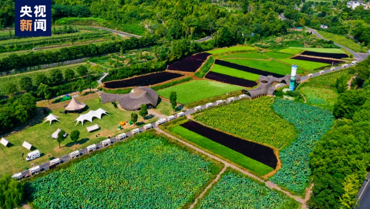 緑いっぱいの公園に生まれ変わった余村の鉱山跡地。