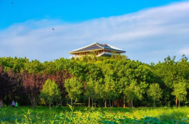 南苑森林湿地公園（写真提供・北京市豊台区融合メディアセンター）。