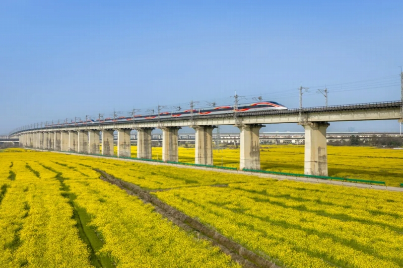 菜の花畑の間を高速列車・復興号が走り抜け、近未来感とロマンチックがコラボする景色が広がる昌福線（撮影・張萌飛）。