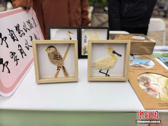 社会全体に愛鳥・鳥類保護を呼びかける第45回「愛鳥ウイーク」シリーズのイベントが4月11日、上海市黄浦区の復興公園で正式に始動（写真提供・上海市緑化・市容管理局)。
