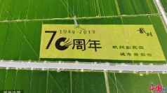 U020190904496660031159.jpg