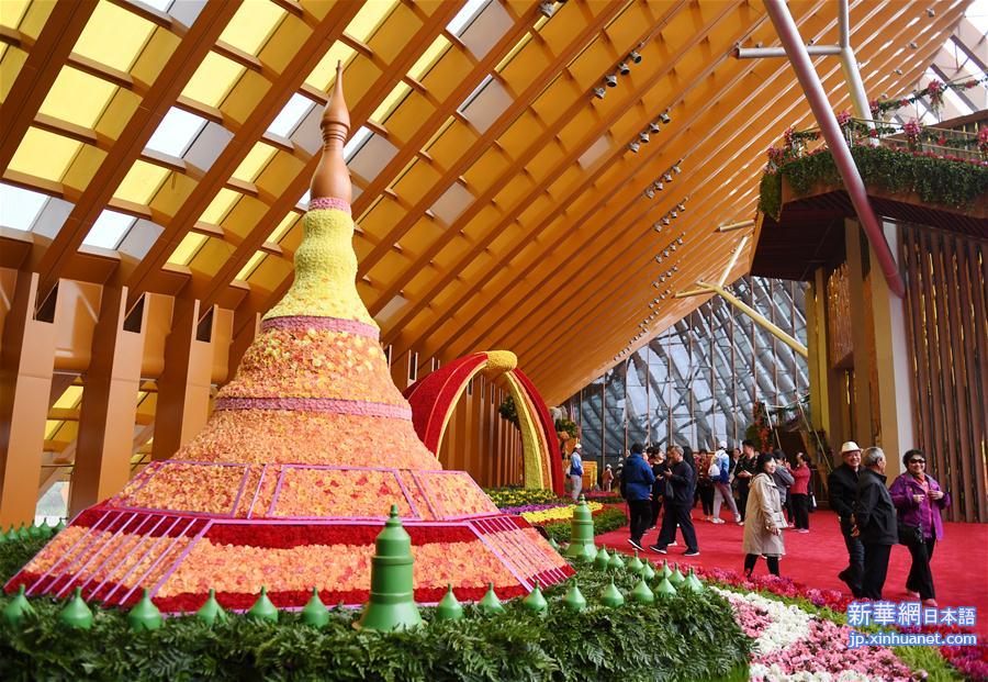 2019年中国北京国際園芸博覧会、一般公開始まる